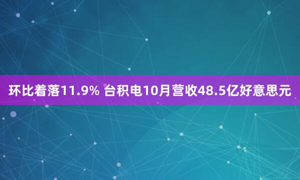 环比着落11.9% 台积电10月营收48.5亿好意思元
